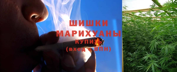 PSILOCYBIN Медногорск