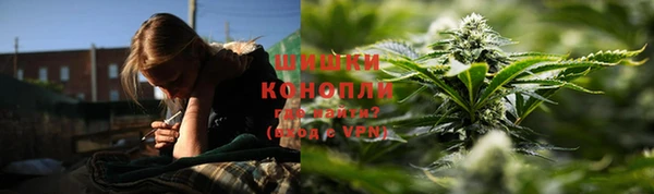 гидра Медвежьегорск