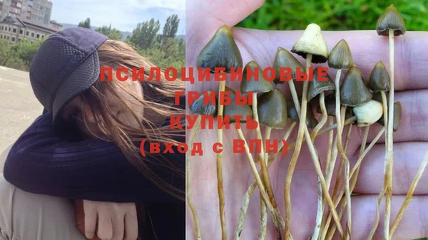 PSILOCYBIN Медногорск