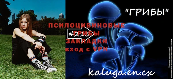 гидра Медвежьегорск