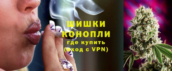 гидра Медвежьегорск