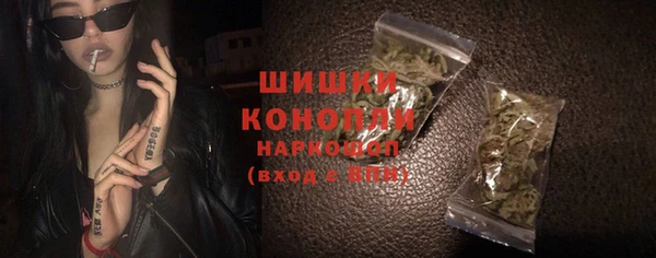 гидра Медвежьегорск